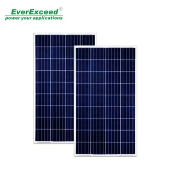 پنل خورشیدی پلی کریستال 100 وات EverExceed مدل ESM100-156